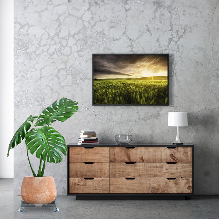 Image du produit Relaxdays Rouleau à plantes