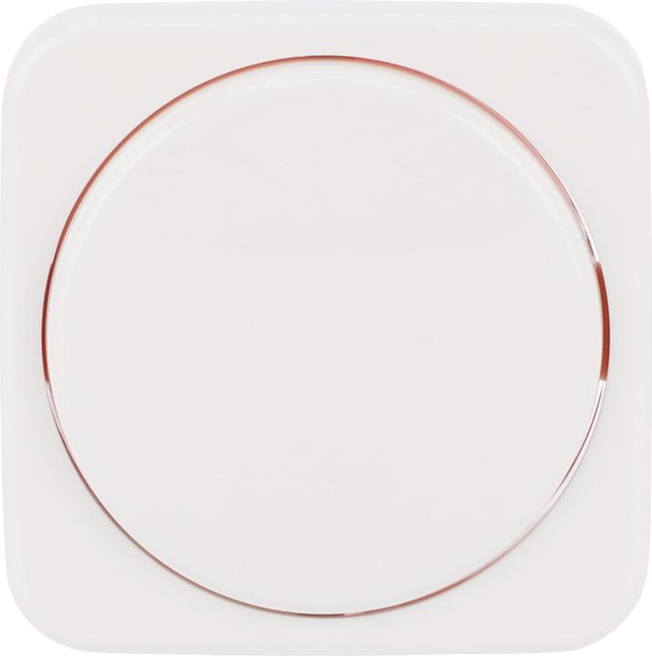 Image du produit Busch-Jaeger Disque central