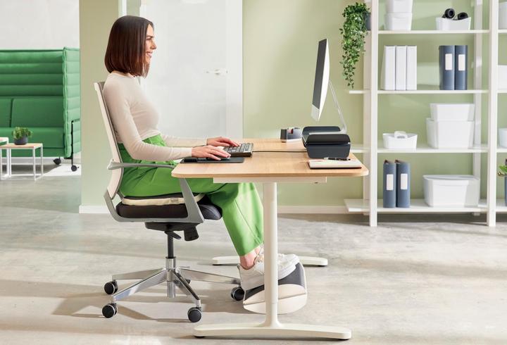 Actual product image Leitz Ergo