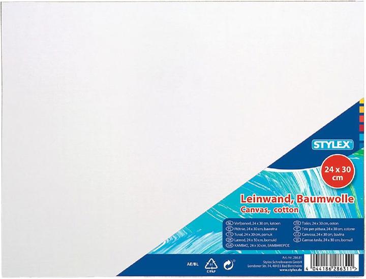 Actual product image Stylex Canvas (30 x 24 cm)