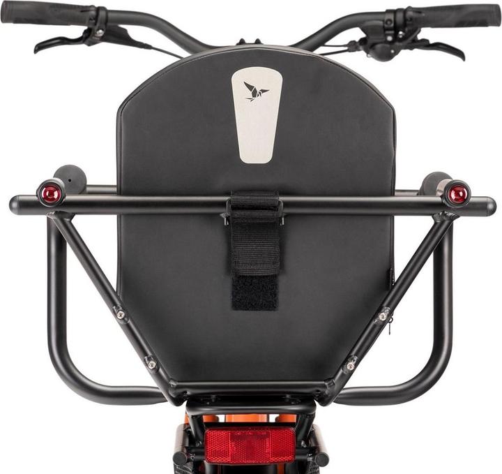 Immagine prodotto Tern Bicycles Nitelite posteriore, luce posteriore rossa (15 lm)