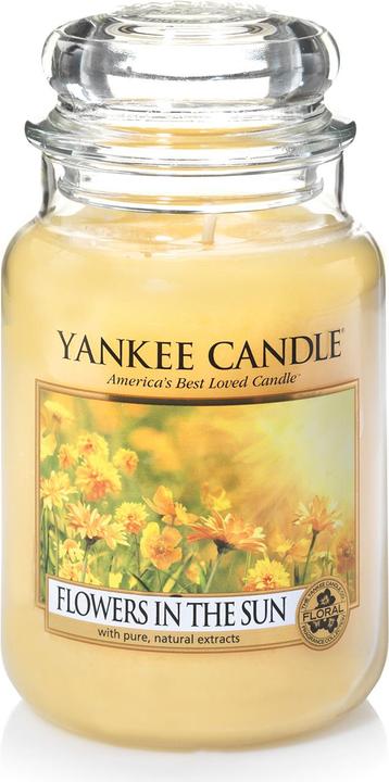 Yankee Candle Large Jar (623 g)