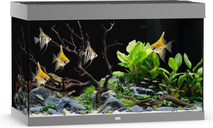 Actual product image Juwel Aquarium Aquarium Rio 290, grau (290 l)