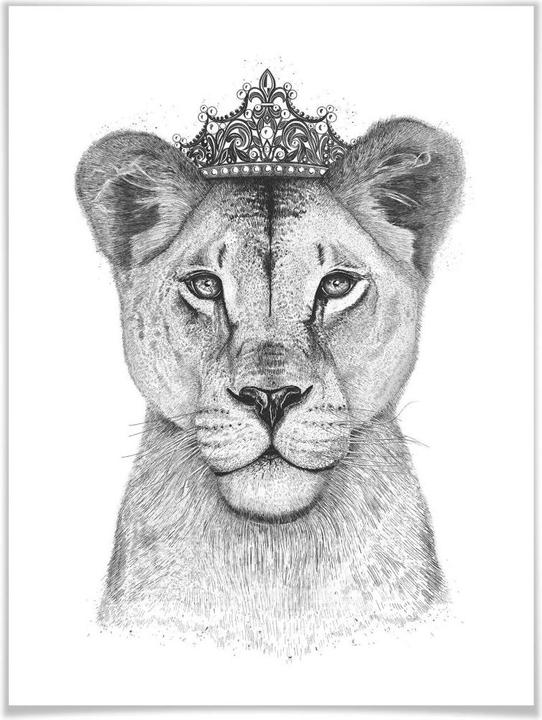 Image du produit Trenddeko La reine des lionnes (30,5 x 30,5 cm)