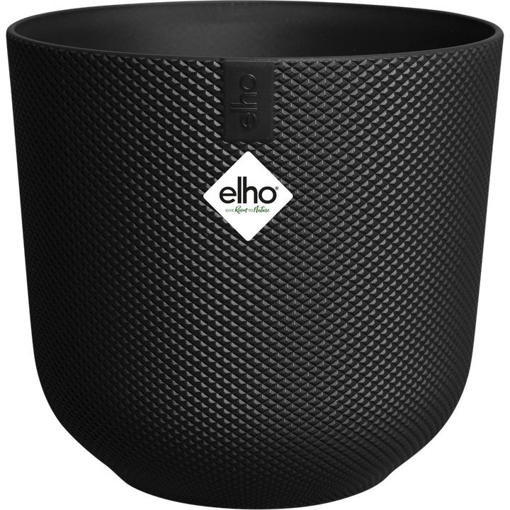 Living Schwarz, Schwarz