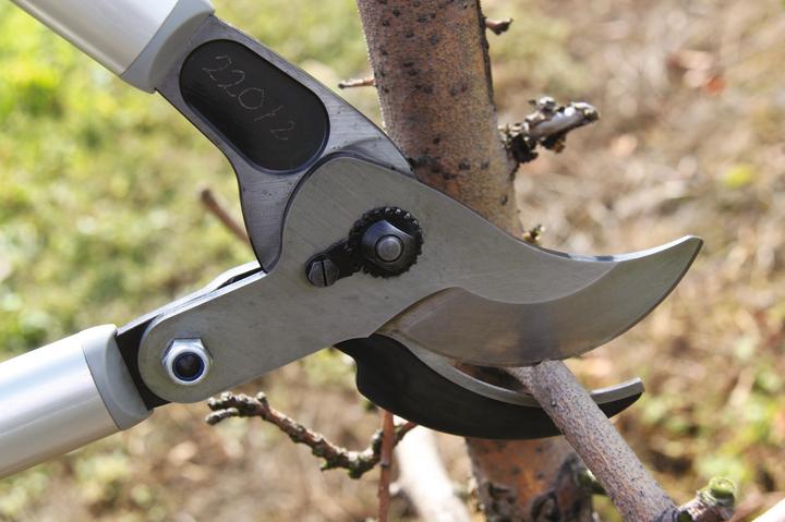 Productafbeelding Felco Snoeischaar
