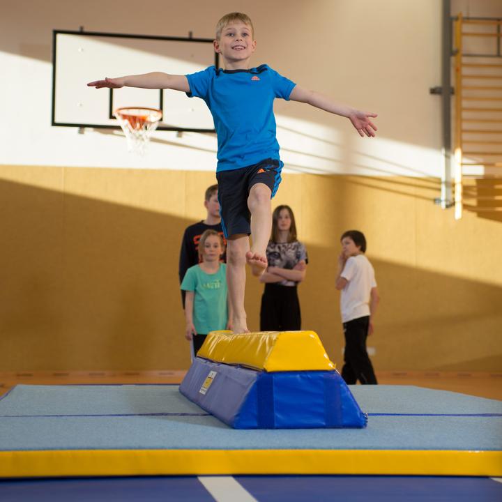 Actual product image Reivo Rinogym balance beam