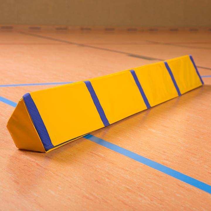 Actual product image Reivo Rinogym balance beam