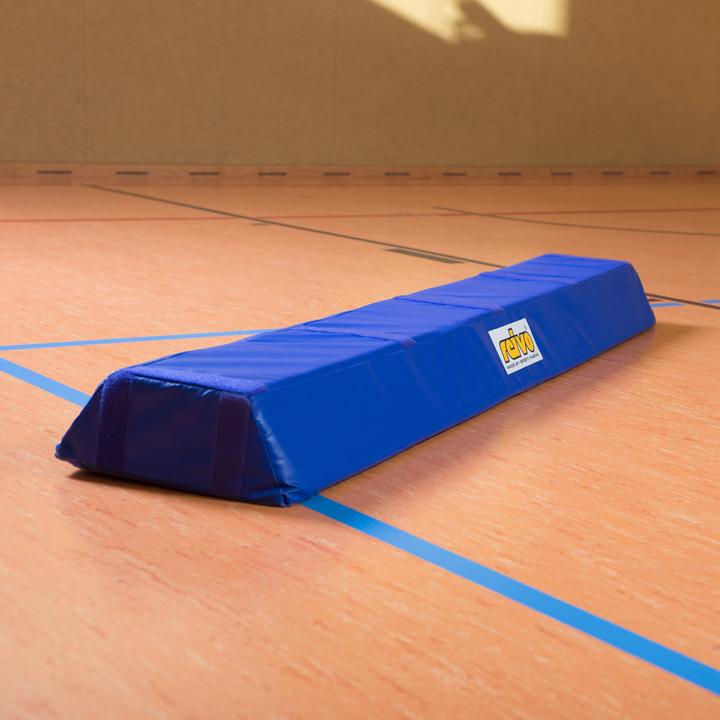 Actual product image Reivo Rinogym balance beam