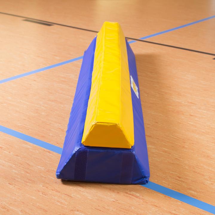 Actual product image Reivo Rinogym balance beam