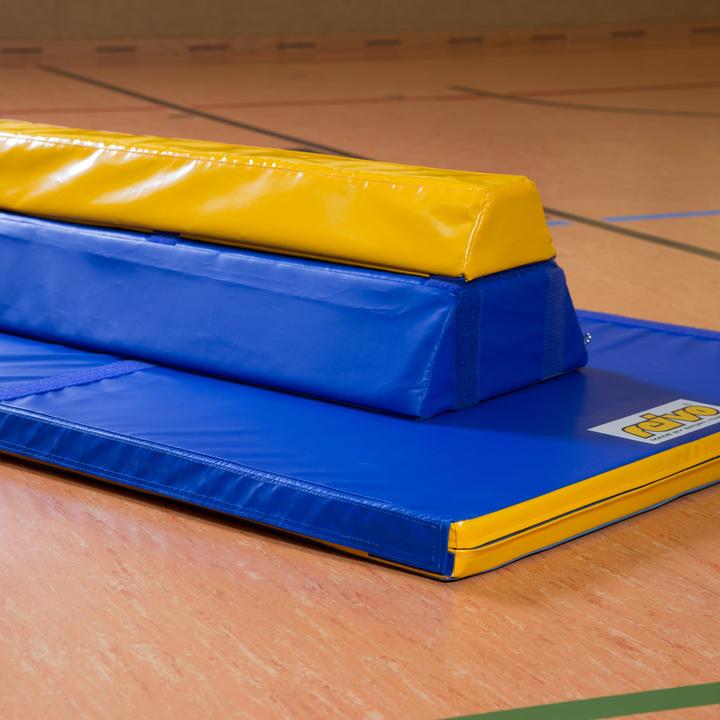 Actual product image Reivo Rinogym balance beam
