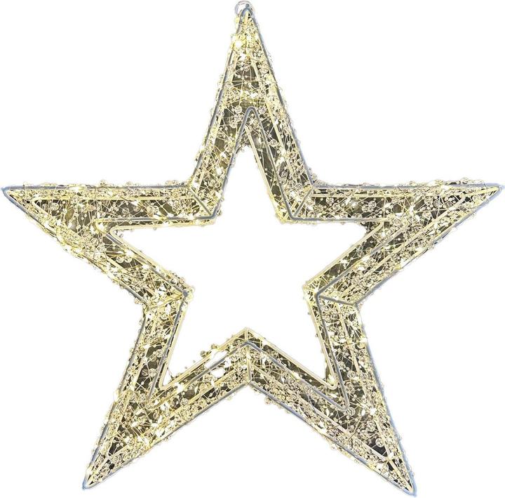 Image du produit Dameco LED Stern Weiss Outdoor, 50 cm x 8