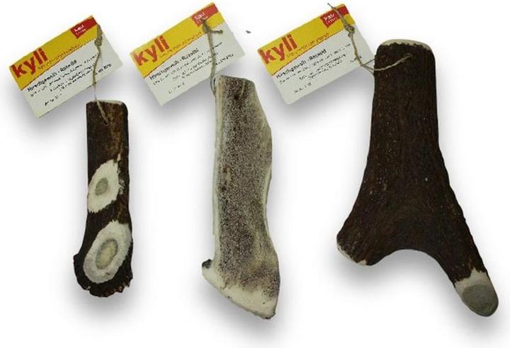 Actual product image Kyli Deer antlers red deer (Senior, Adult, Junior, 1 pcs., 300 g)