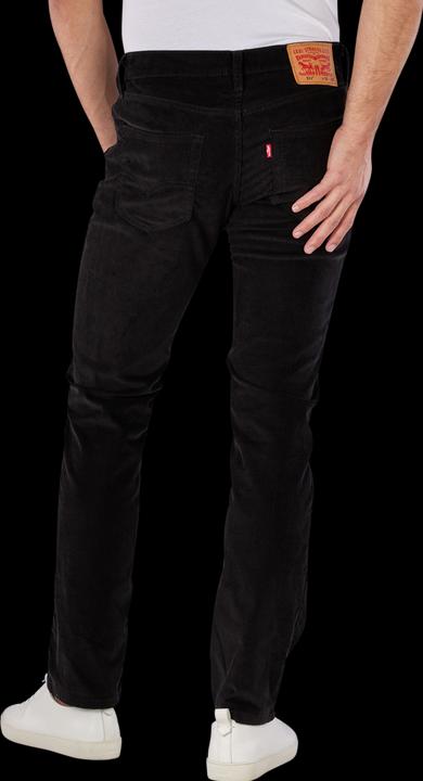 Image du produit Levis 10021770 (W31/L30)