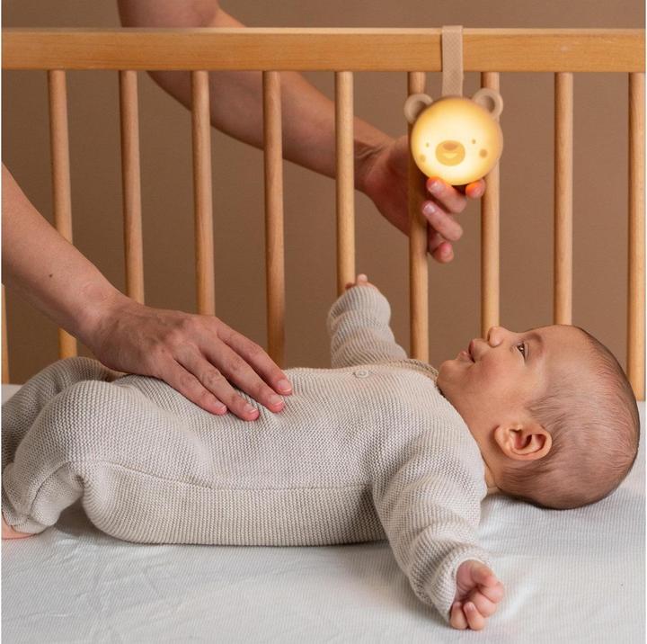 Immagine prodotto Taf Toys DreamBear