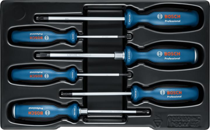 Actual product image Bosch Professional Screwdriver (Phillipps cross recess (PH), Pozidriv cross recess (PZ), Port, T-section)