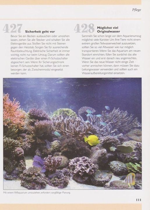 Actual product image 500 Tipps und Tricks zur Meerwasseraquaristik (German, Dave Hayes Garratt, 2007)