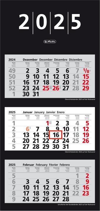 Immagine prodotto Herlitz Calendario da parete 3 mesi 2025 33x70cm, con Daily Gazette, 4 spr. (330 x 700 mm, Tedesco)