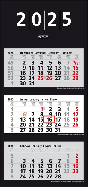 Herlitz Calendario da parete 3 mesi 2025 33x70cm, con Daily Gazette, 4 spr. (330 x 700 mm, Tedesco)