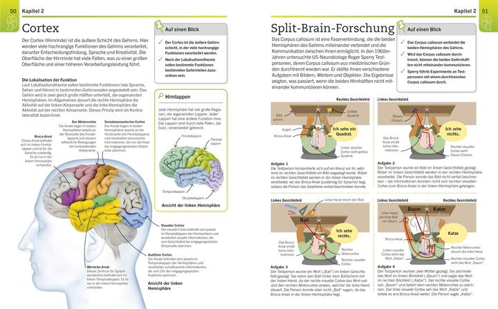 Actual product image VisuellesWissen.Psychologie (German, Ali Abbas, Catherine Collin, Joelie McCrary, Joseph Swope, Martyn Standage, Mo Hunter, Penny March, Stacey Bedwell, Svenja Tengs, Tom Buxton-Cope)