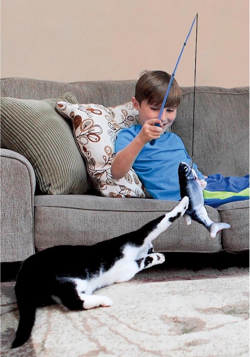 Actual product image MediaShop Flippity Fish (Catmint toy)