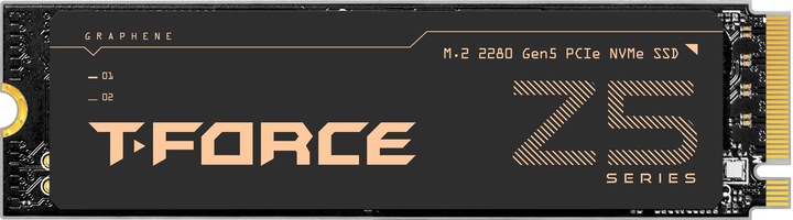 Team Group Z540 (2000 Go, M.2 2280)