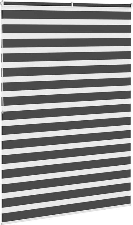 Produktbild vidaXL Zebra-Jalousie (155 x 200 cm)