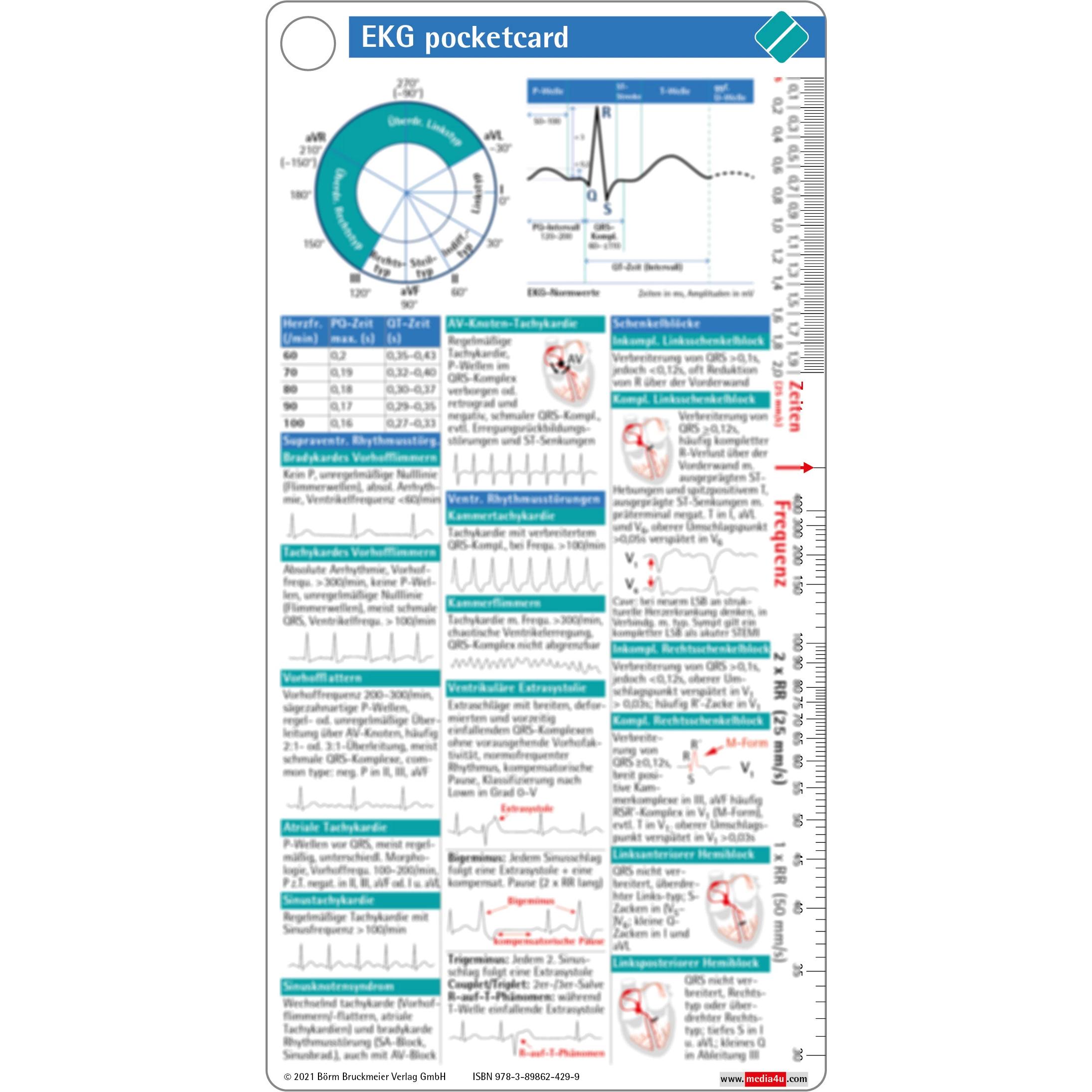 EKG pocketcard, Fachbücher von Börm Bruckmeier