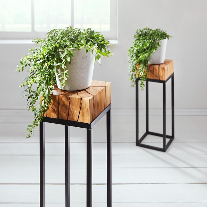Immagine prodotto Linea Natura Pavar (25 x 53 cm)