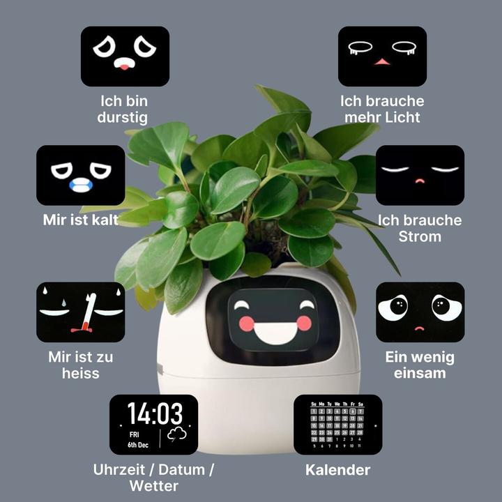 Image du produit Hermex USB-Pflanzenübertopf (9 x 11 x 9 cm)