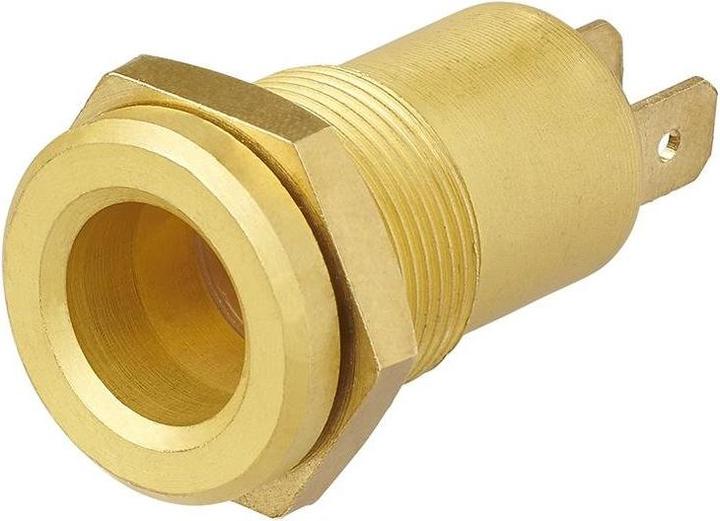 Image du produit ProPlus Prise à encastrer DIN 12V laiton sous blister