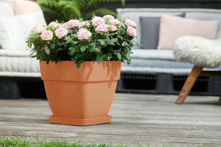 Actual product image Elho Flower box (30 x 29 x 28 cm)