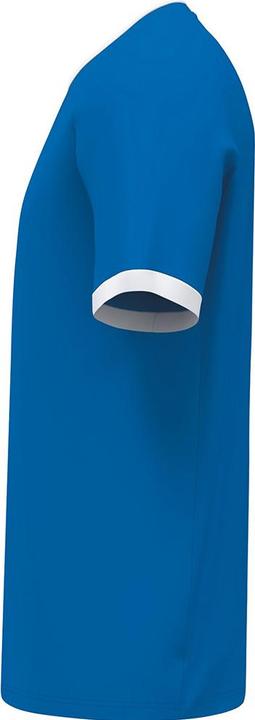 Actual product image Erima LIBERO 125 Jersey (XL)