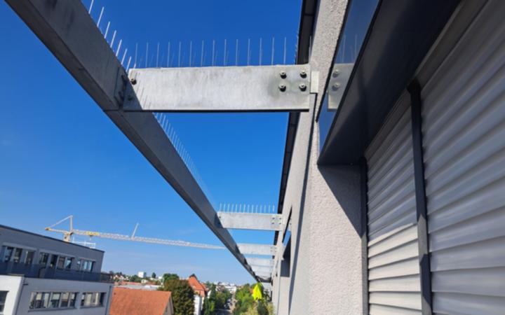 Immagine prodotto Astrein 2 file di punte repellenti per piccioni in acciaio inox 1.4301