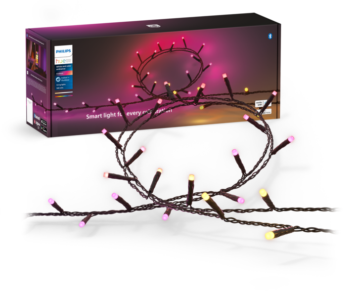Actual product image Philips Hue Festavia (EU plug) (40 m)