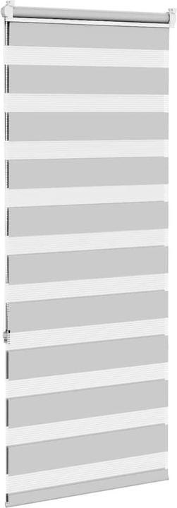 Produktbild vidaXL Zebra-Jalousie (55 x 150 cm)
