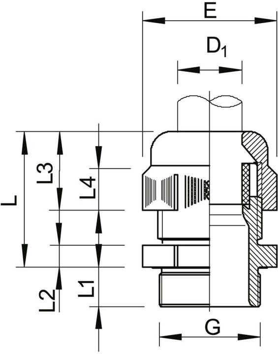 Actual product image OBO Bettermann Screw connection
