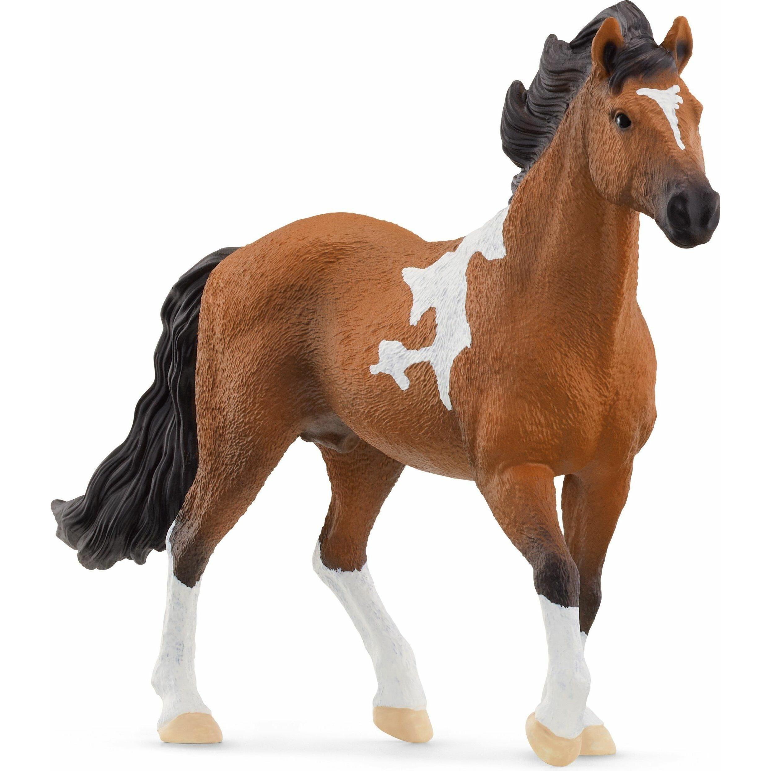 Schleich Mangalarga Marchador Hengst