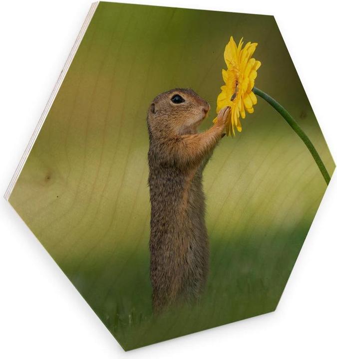 Image du produit Trenddeko van Duijn - Gopher tenant une fleur (55 x 47 cm)