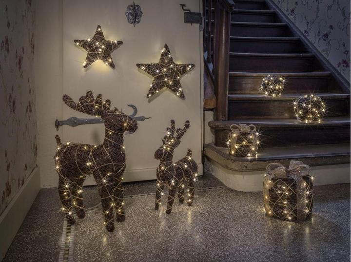 Image du produit STT Natural reindeer