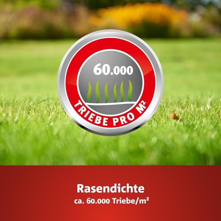 Produktbild Wolf-Garten Lg 500 (Rasensamen)