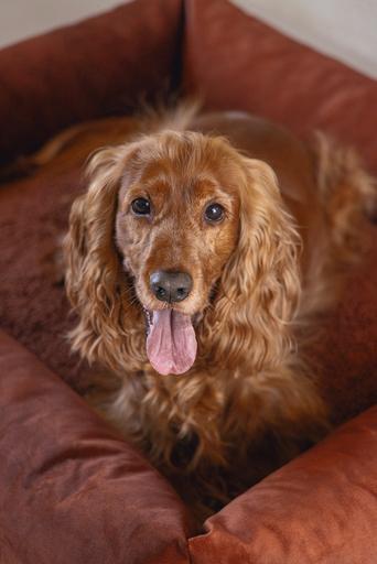 Produktbild Designed by Lotte Liegebett Ribbed (Hund)