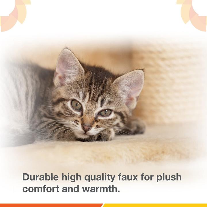 Image du produit Whomes Kratzbaum (285 cm, Beige)