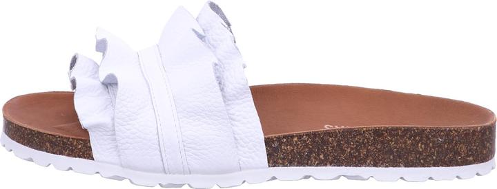 Immagine prodotto Verbenas Mulo Rocio (40)