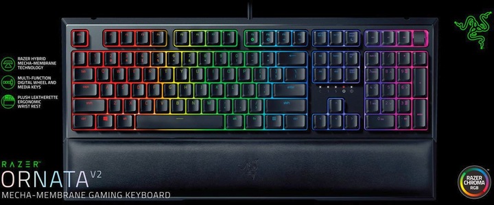 Image du produit Razer Ornata V2 (CH, Filaire)