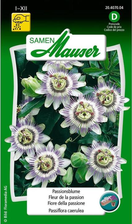 Image du produit Samen Mauser Passiflore (Graines de fleurs)