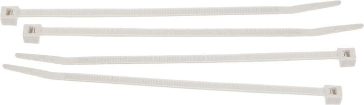 Produktbild Brady Leitungs- und Kabelbinder aus Nylon (98 mm, 100 Stk.)