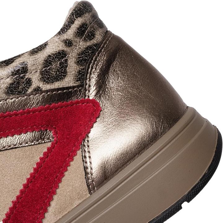 Image du produit Ara Rom (41)