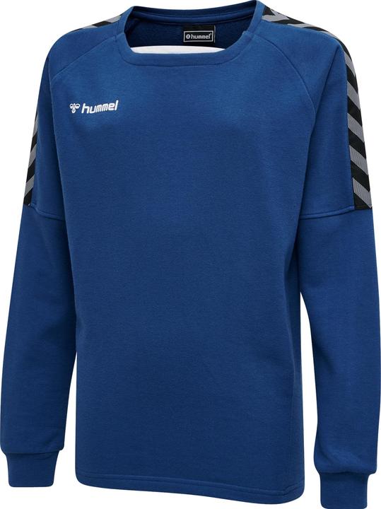 Image du produit hummel Authentique Sweat D'Entraînement Pour Enfants (116)