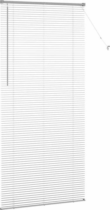 Immagine prodotto VidaXL Tende per finestre (100 x 220 cm)